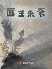 匪王一共多少集