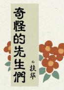 奇怪的先生们讲了什么
