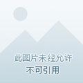 蝉声断续悲残月
