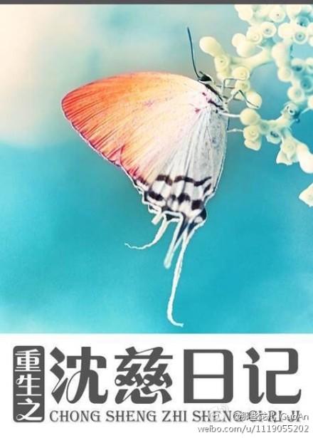 沈慈