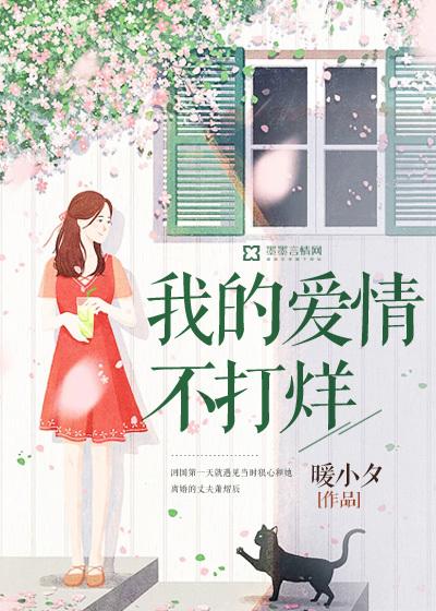 我的爱情打了烊歌词