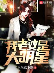 我老婆是大明星介绍