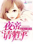 坏坏小娇妻夜帝请躺平无删减
