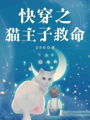 快穿bl猫