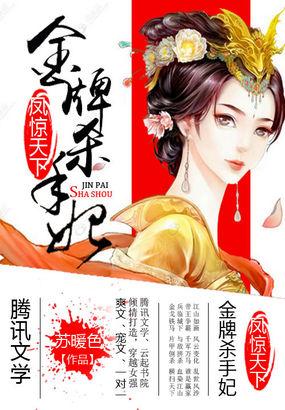 凤惊天下异能杀手妃免费阅读